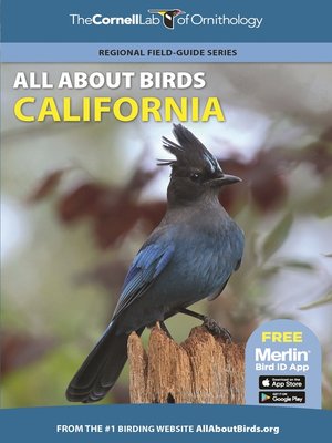 cover image of All About Birds California